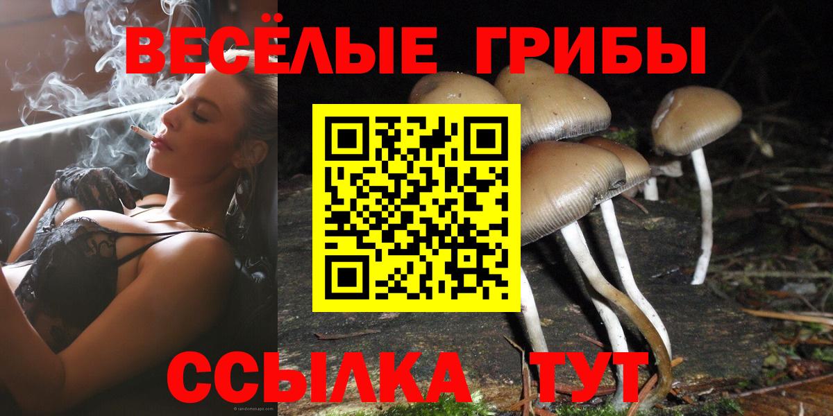 Люберцы  Псилоцибиновые грибы мицелий  Вход с VPN 