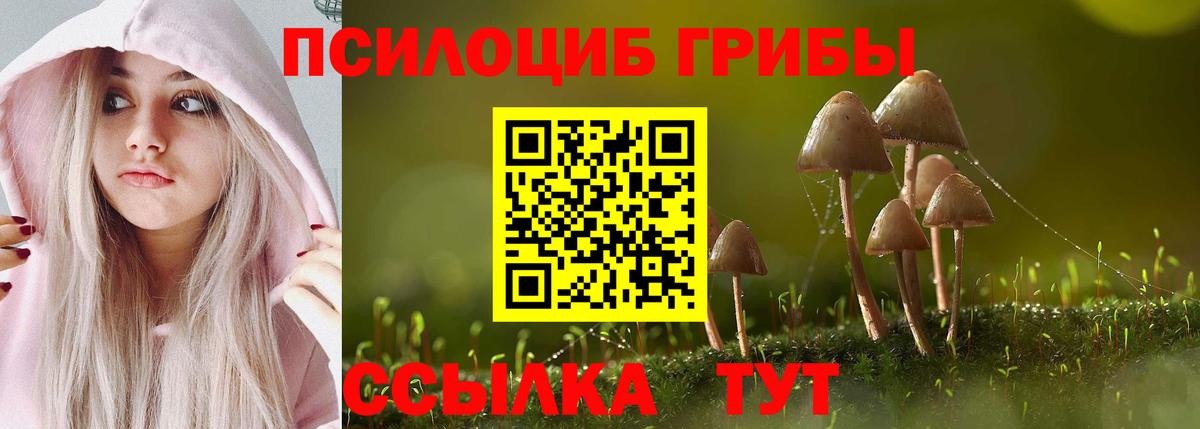 Псилоцибиновые грибы Magic Shrooms Люберцы